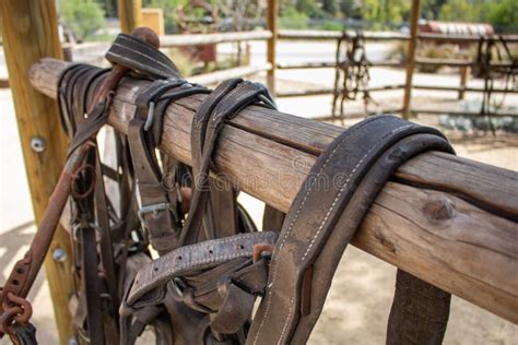 Ranch Saddle On Fence Stock Image Image Of Shrub Cowboy 5252051