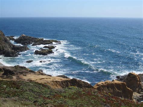 Bodegabaylife Gorgeous Day At Bodega Head