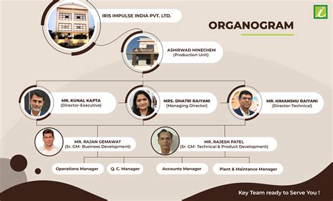 Iris Impulse India Pvt Ltd Organizational Chart With The Process And A