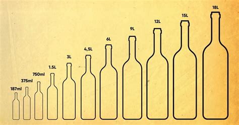 Garrafas De Vinho Confira Os Tipos Dicas E Curiosidades