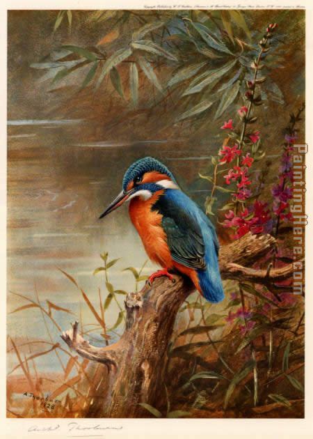 Archibald Thorburn Summer Kingfisher Painting Anysize 50 Off Summer