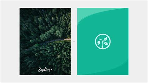 Sapling On Behance