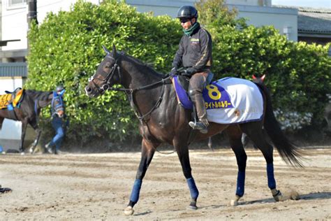 タイトルホルダー引退式に横山和生、武史らが出席 有馬デーの最終レース終了後に（東スポ競馬）｜dメニューニュース（nttドコモ）