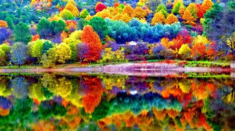 Colorful Pictures Of Nature - profile picture