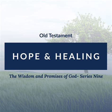 Six Poetic Books Of The Bible Poets Immerse Bible In This Episode