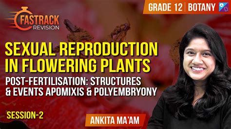 Sexual Reproduction In Flowering Plants Double Post Fertilisation