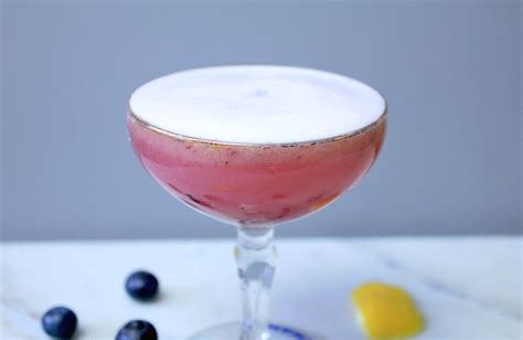 Blueberry Gin Sour I Love Gin