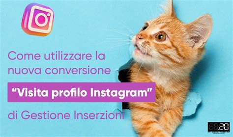 Come Utilizzare La Nuova Conversione Visita Profilo Instagram Di