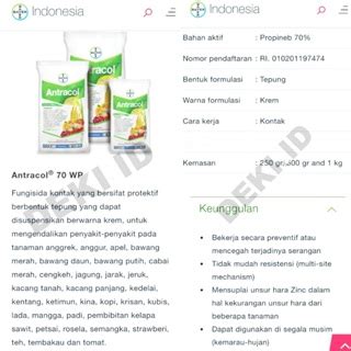 Jual Antracol Wp Gram Fungisida Kontak Plus Zinc Obat Pembasmi