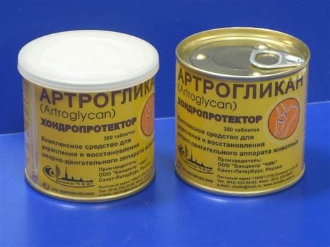 Артрогликан для собак: инструкция по применению, отзывы, аналоги