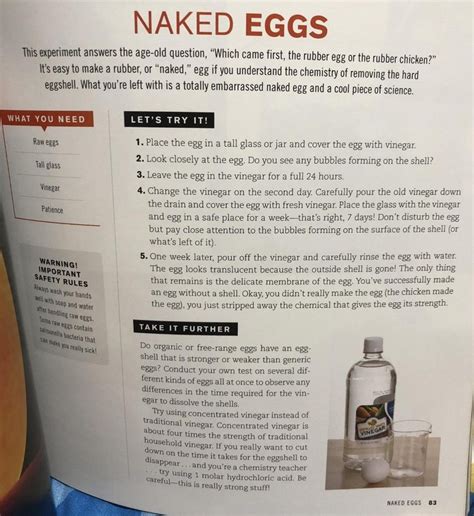 Naked Eggs And Flying Potato Unforgettable Experiments That Makes