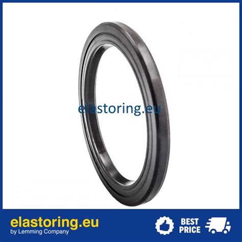 Oil Seal 41x54x4 VC FPM