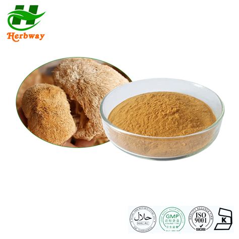 Nature Extract Lion S Mane Mushroom Powder 10 50 Polysaccharides