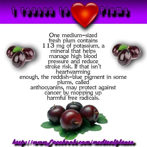 79 best Plums & Prune Recipes images on Pinterest | Prune recipes, Juice and Juices