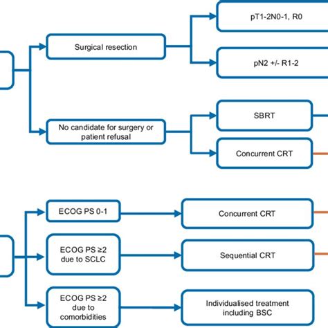 Treatment Algorithm For Limited Stage Sclc Bsc Best Supportive Care