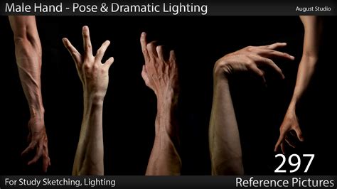 Male Hand Pose Lighting Vol1 FlippedNormals