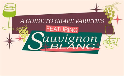 A Beginners Guide To Sauvignon Blanc