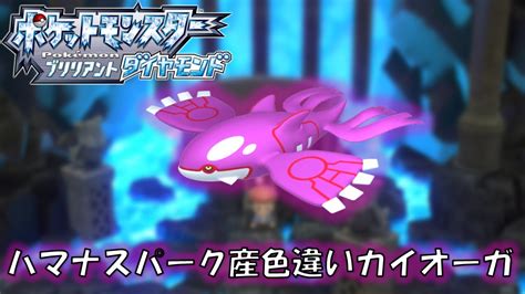 ハマナスパークで色違いカイオーガ狙います！【ポケモンbdsp】【初見、コメント歓迎】 ポケモン関連情報のまとめ動画