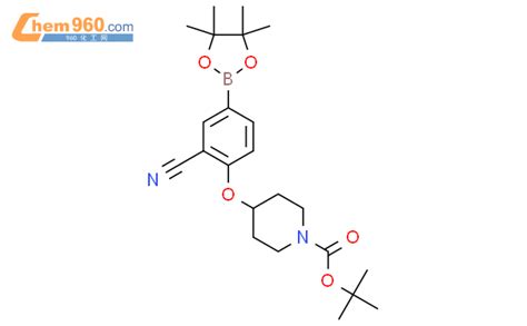 Tert Butyl Cyano Tetramethyl