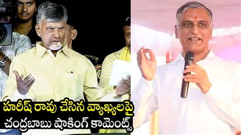 Chandrababu Naidu Strong Reaction Over Minister Harish Rao Comments