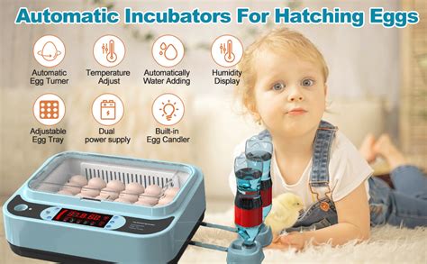 Amazon Detodda Egg Incubators For Hatching Eggs With Automatic