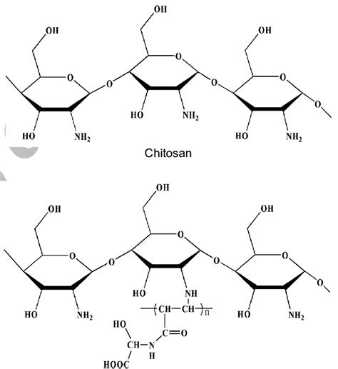 Scheme I Chemical Structure Of Chitosan And Download Scientific