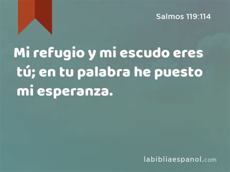 Salmos 119 114 Mi refugio y mi escudo eres tú en tu palabra he