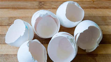 Brilliant Uses Of Leftover Eggshells Discover Creative Ways To