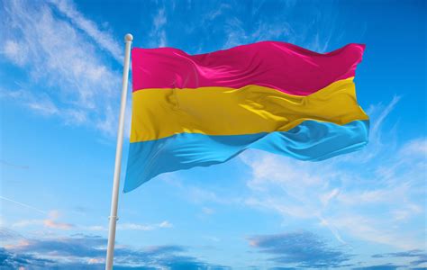 Pride Flag Guide Pride Flags And Their Meanings Sfgmc