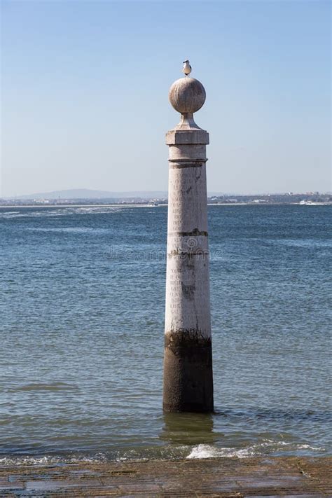 Gaivota Sentada Sobre Um Pilar Nas Colunas Pier Cais Das Colunas Em