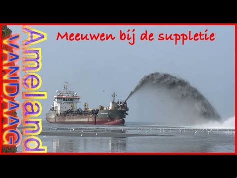 Meeuwen Bij Zandsuppletie Strand Hollum Ameland Youtube