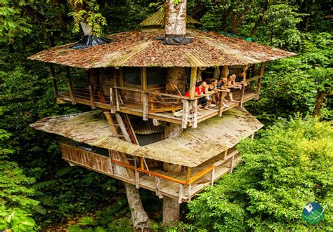 Sustainable And Eco Friendly Tree Houses — Rapid Reforest Campaign