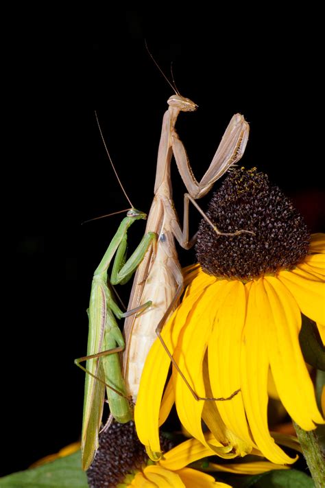 Sex Macht Hungrig Klagenfurt Land