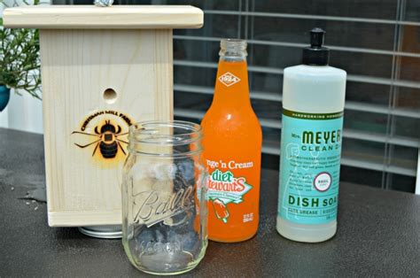 How To Trap And Kill Carpenter Bees And Wasps Too Mom Real