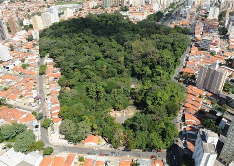 Imagens De Bosque Jequitibas - Bosque dos Jequitibás: História, Estrutura e Atrações