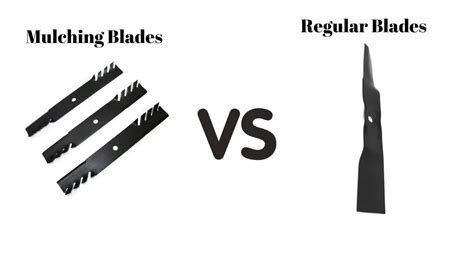 Mulching Blades Vs Regular Blades Choosing The Right One For You LawnAsk