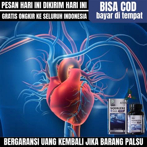 Jual Obat Herbal Jantung Tersumbat Obat Jantung Koroner Obat Jantung