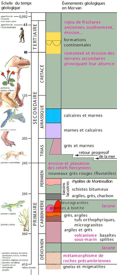 Echelle des temps géologiques Patrimoine du Morvan