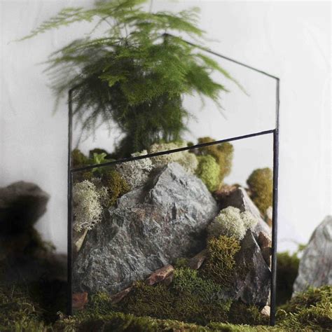 Florarium Izzy Cartwright