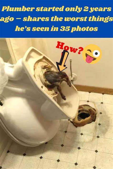 Plumber Started Only 2 Years Ago Shares The Worst Things Hes Seen In