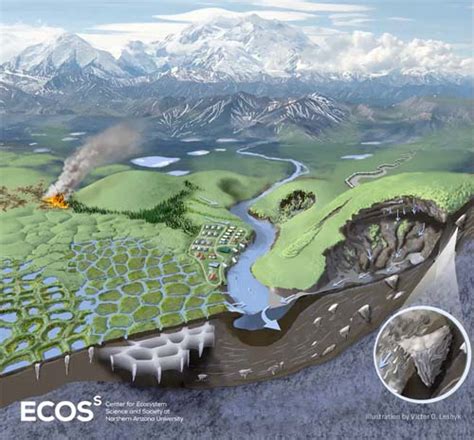 permafrost diagram - Rachel Carson Council