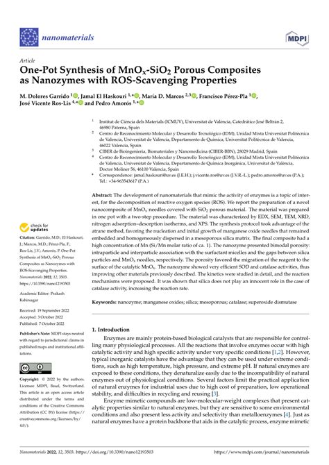 PDF One Pot Synthesis Of MnOx SiO2 Porous Composites As Nanozymes