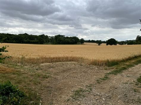 View Towards Crawley Copse Mr Ignavy Cc By Sa 2 0 Geograph Britain