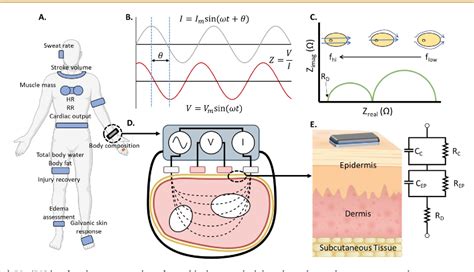 Figure 1 From Bioelectrical Impedance Spectroscopy For Monitoring Mammalian Cells And Tissues