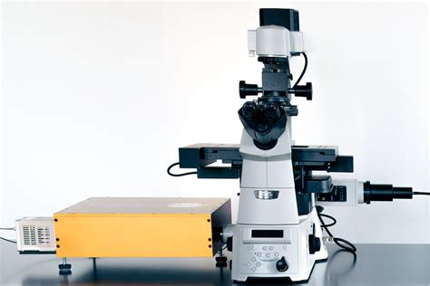 The optical microscopy revolution: super-resolution microscopy - Light ...