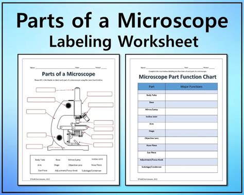 Parts of a Microscope Labeling & Functions Worksheet Science ... - Worksheets Library