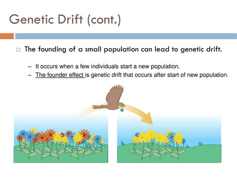 Ppt The Five Factors Of Evolution Powerpoint Presentation Free Download Id4105939