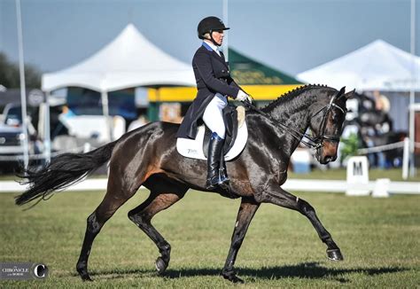 Fernhill By Night Eclipses The Field At Ocala Jockey Club International