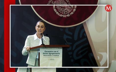 Claudia Sheinbaum recibe constancia de mayoría EN VIVO HOY 15 agosto