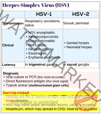 Herpes Simplex Virus HSV Medicine Keys For MRCPs